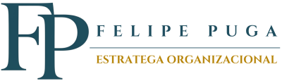 Consultoria Felipe Puga